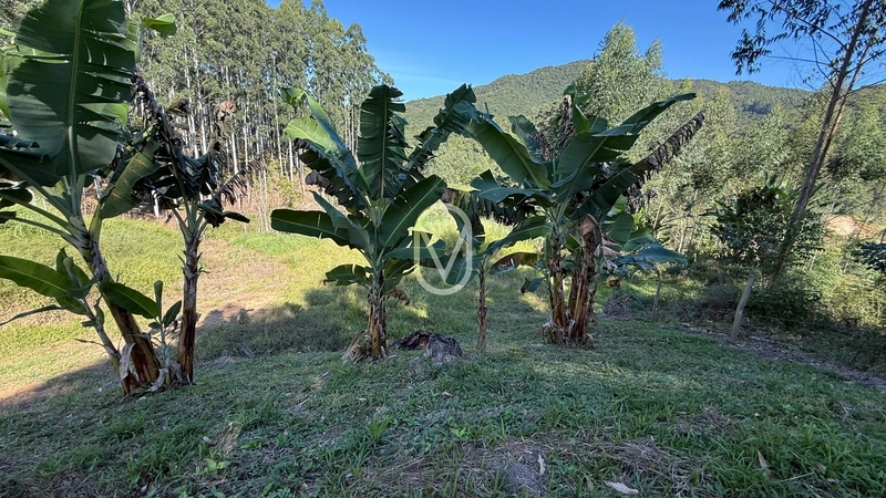 Terreno de 2 hectares á Venda no bairro Bom Jesus em Armazém-SC: 28ª foto da galeria de imagens do imóvel