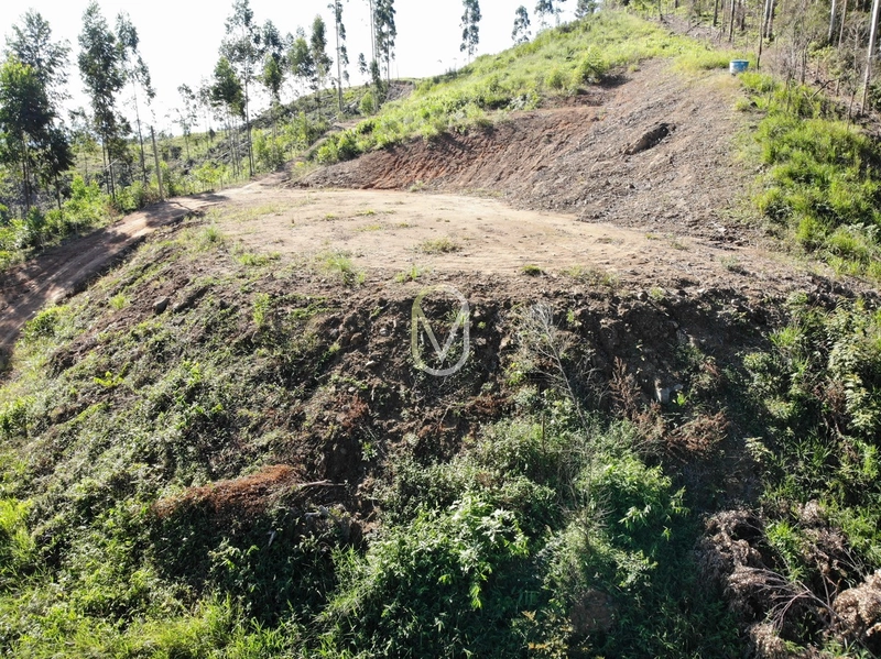 Terreno de 2 hectares á Venda no bairro Bom Jesus em Armazém-SC: 7ª foto da galeria de imagens do imóvel
