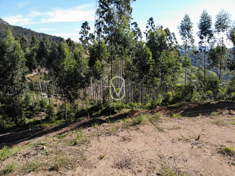 Terreno de 2 hectares á Venda no bairro Bom Jesus em Armazém-SC: 8ª foto da galeria de imagens do imóvel