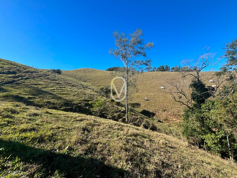 Terreno á Venda em Armazém-SC: 30ª foto da galeria de imagens do imóvel