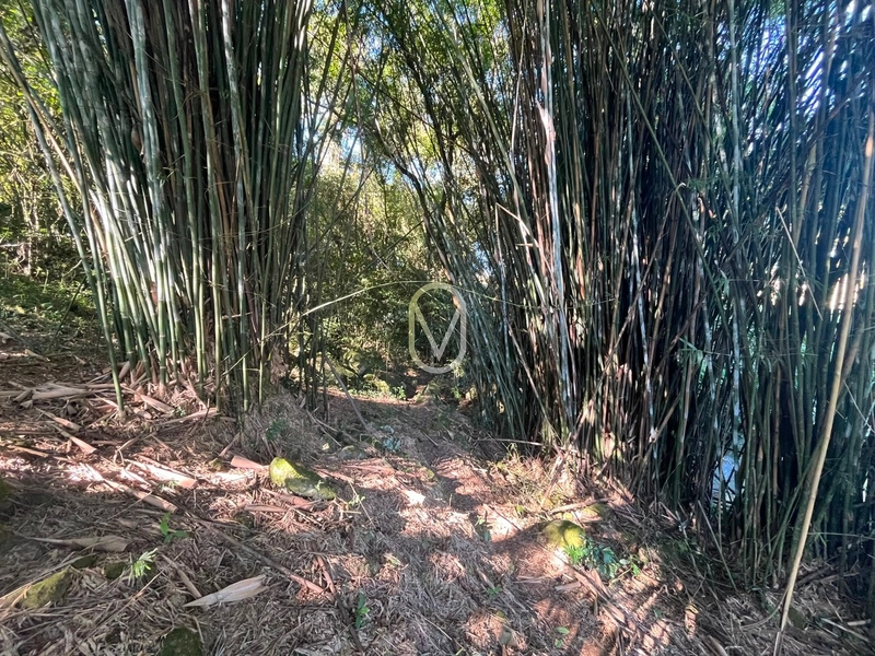 Terreno á Venda em Armazém-SC: 40ª foto da galeria de imagens do imóvel