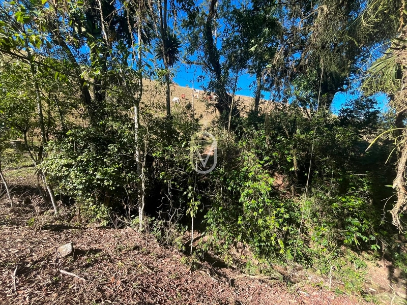 Terreno á Venda em Armazém-SC: 33ª foto da galeria de imagens do imóvel