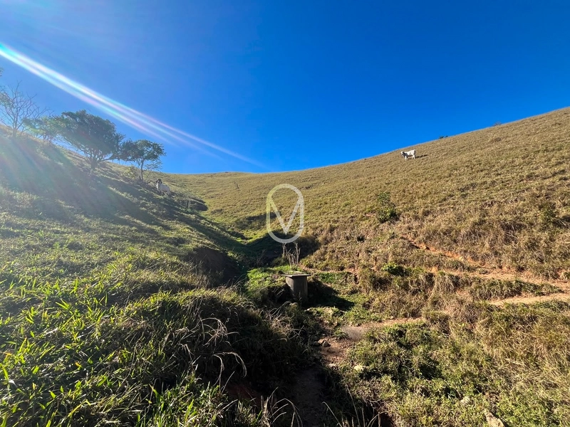 Terreno á Venda em Armazém-SC: 34ª foto da galeria de imagens do imóvel