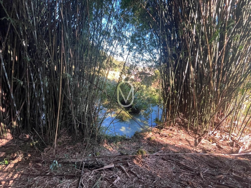 Terreno á Venda em Armazém-SC: 41ª foto da galeria de imagens do imóvel