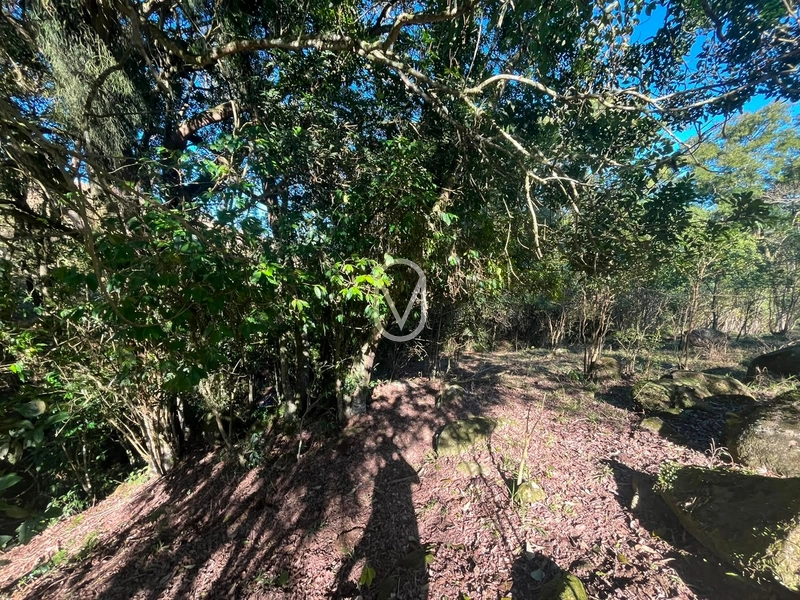 Terreno á Venda em Armazém-SC: 32ª foto da galeria de imagens do imóvel