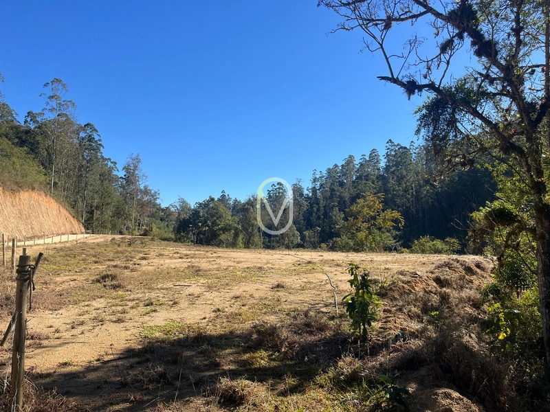 Terreno de 24 hec á Venda em Bom Jesus, Armazém-SC: 3ª foto da galeria de imagens do imóvel