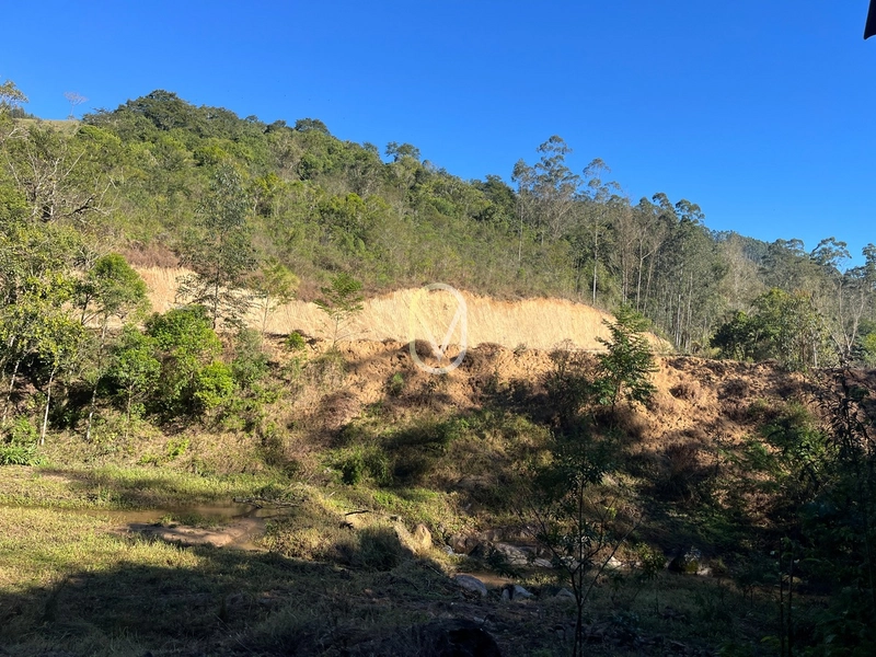 Terreno de 24 hec á Venda em Bom Jesus, Armazém-SC: 15ª foto da galeria de imagens do imóvel