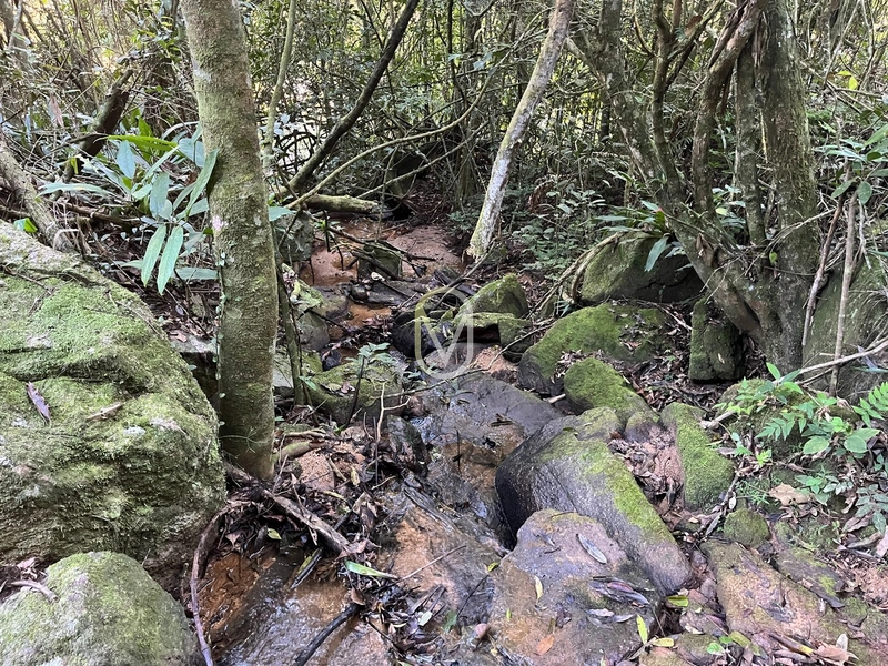 Terreno de 24 hec á Venda em Bom Jesus, Armazém-SC: 11ª foto da galeria de imagens do imóvel