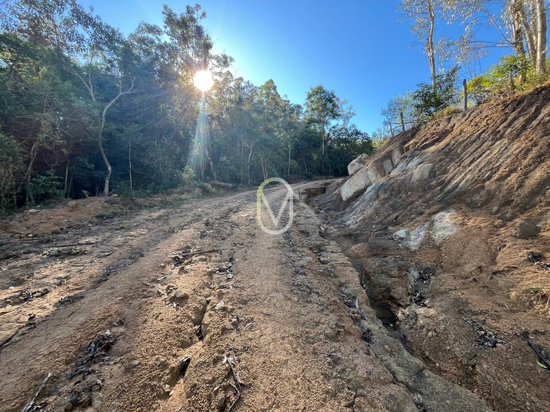 Terreno de 24 hec á Venda em Bom Jesus, Armazém-SC: 17ª foto da galeria de imagens do imóvel