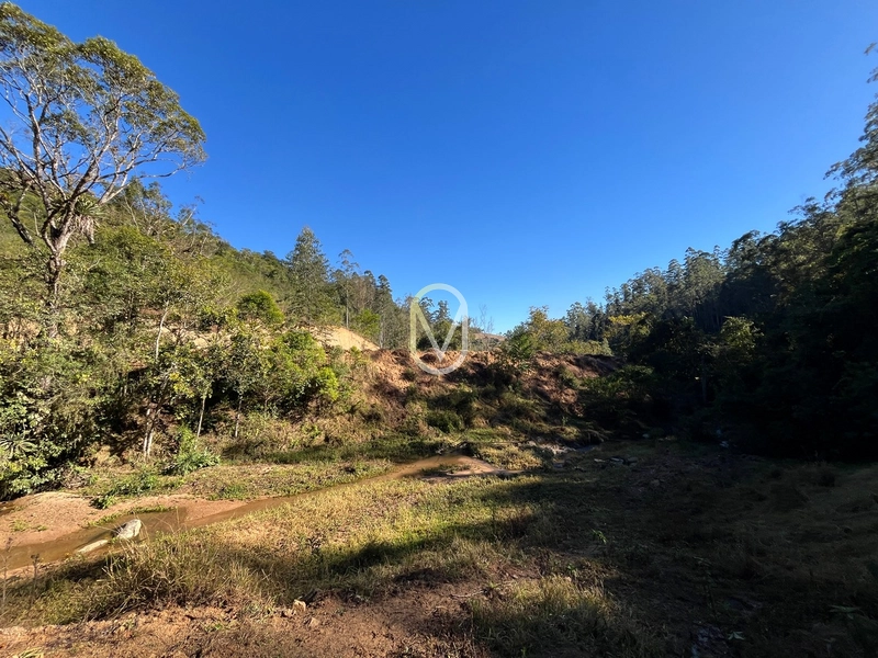Terreno de 24 hec á Venda em Bom Jesus, Armazém-SC: 6ª foto da galeria de imagens do imóvel