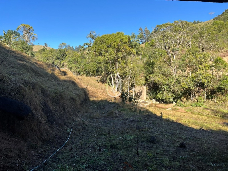 Terreno de 24 hec á Venda em Bom Jesus, Armazém-SC: 13ª foto da galeria de imagens do imóvel