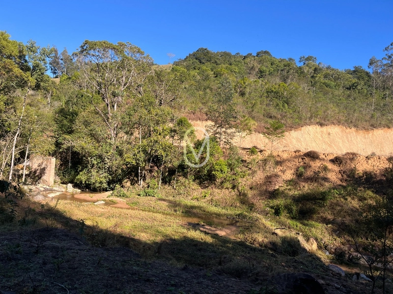 Terreno de 24 hec á Venda em Bom Jesus, Armazém-SC: 14ª foto da galeria de imagens do imóvel