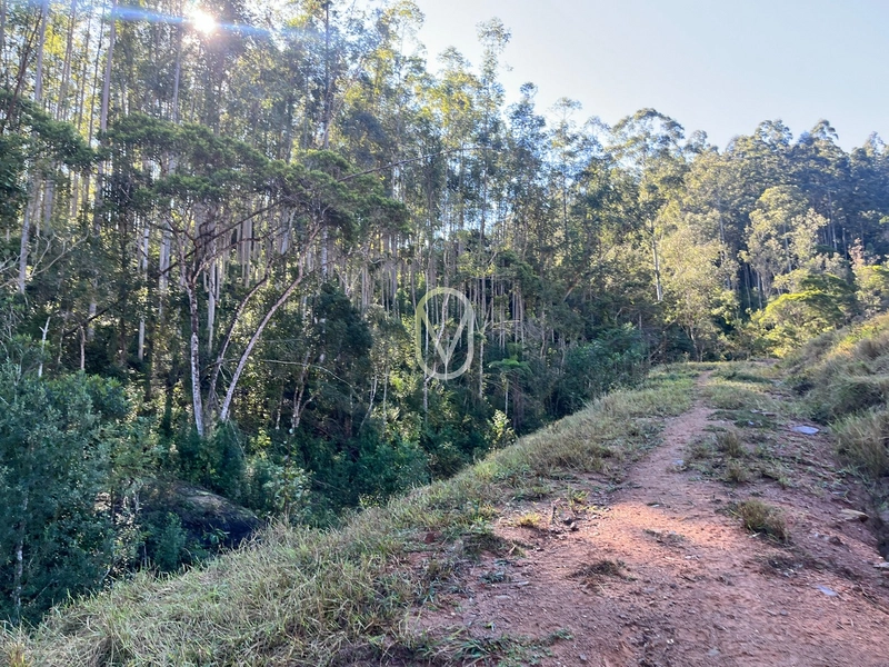Terreno de 24 hec á Venda em Bom Jesus, Armazém-SC: 23ª foto da galeria de imagens do imóvel