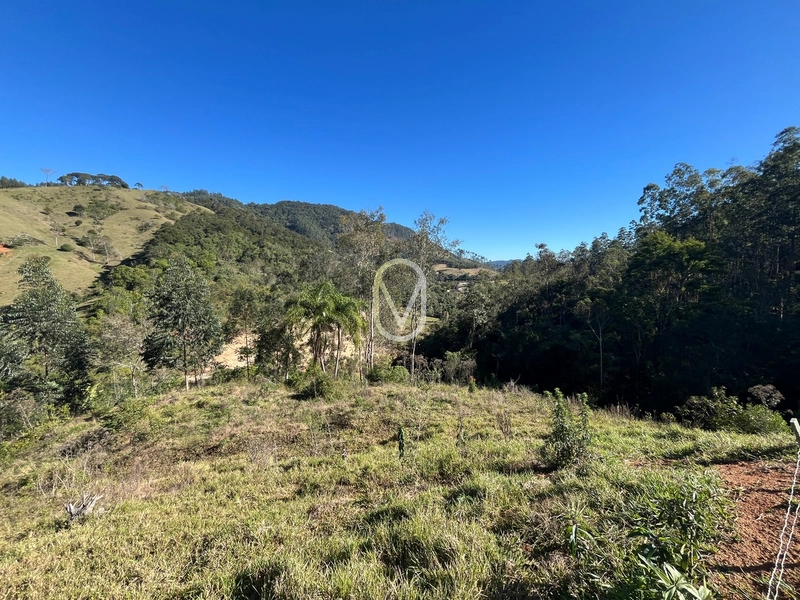 Terreno de 24 hec á Venda em Bom Jesus, Armazém-SC: 29ª foto da galeria de imagens do imóvel