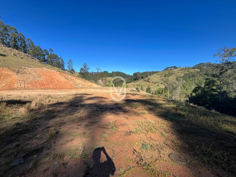 Terreno de 24 hec á Venda em Bom Jesus, Armazém-SC: 25ª foto da galeria de imagens do imóvel