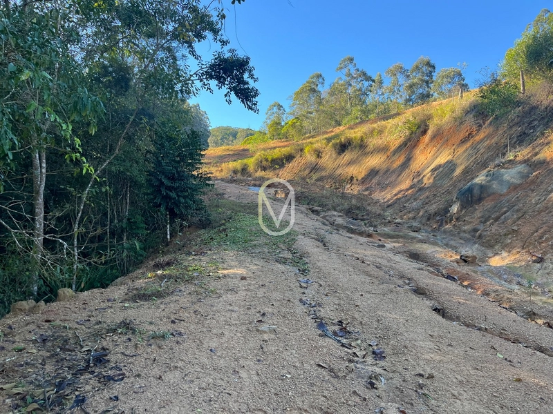 Terreno de 24 hec á Venda em Bom Jesus, Armazém-SC: 21ª foto da galeria de imagens do imóvel