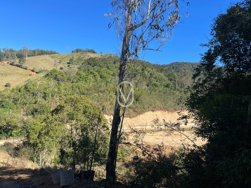 Terreno de 24 hec á Venda em Bom Jesus, Armazém-SC: 40ª foto da galeria de imagens do imóvel