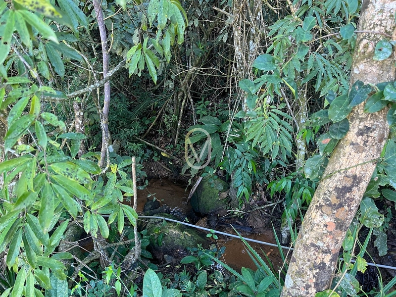 Terreno de 24 hec á Venda em Bom Jesus, Armazém-SC: 20ª foto da galeria de imagens do imóvel