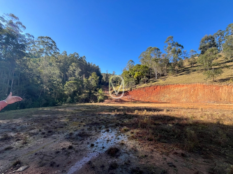Terreno de 24 hec á Venda em Bom Jesus, Armazém-SC: 27ª foto da galeria de imagens do imóvel