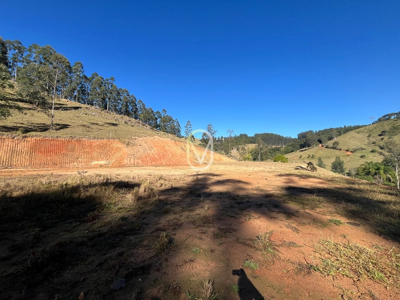 Terreno de 24 hec á Venda em Bom Jesus, Armazém-SC: 26ª foto da galeria de imagens do imóvel