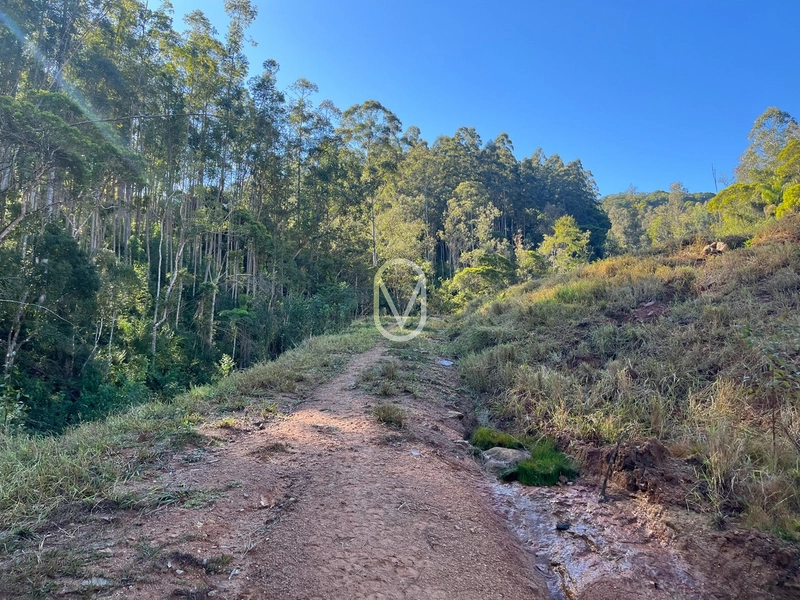 Terreno de 24 hec á Venda em Bom Jesus, Armazém-SC: 22ª foto da galeria de imagens do imóvel