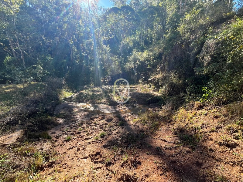 Terreno de 24 hec á Venda em Bom Jesus, Armazém-SC: 37ª foto da galeria de imagens do imóvel
