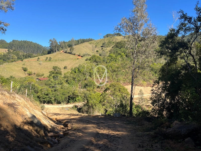 Terreno de 24 hec á Venda em Bom Jesus, Armazém-SC: 38ª foto da galeria de imagens do imóvel