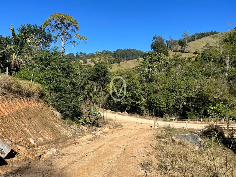 Terreno de 24 hec á Venda em Bom Jesus, Armazém-SC: 43ª foto da galeria de imagens do imóvel