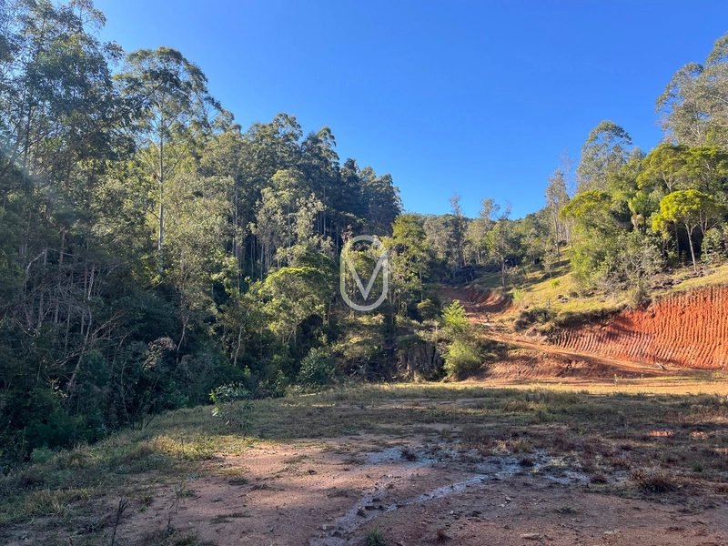 Terreno de 24 hec á Venda em Bom Jesus, Armazém-SC: 24ª foto da galeria de imagens do imóvel