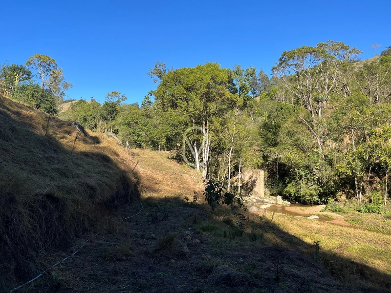 Terreno de 24 hec á Venda em Bom Jesus, Armazém-SC: 16ª foto da galeria de imagens do imóvel