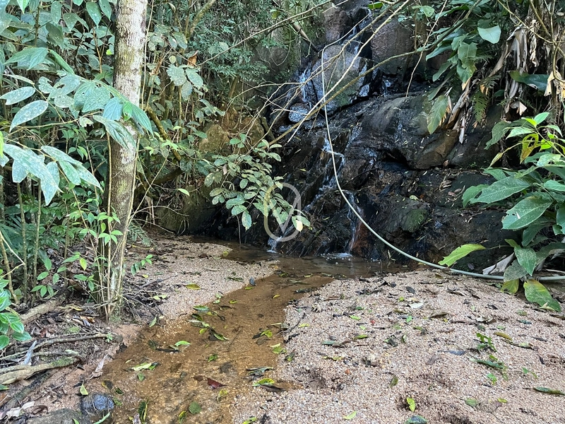 Terreno de 24 hec á Venda em Bom Jesus, Armazém-SC: 9ª foto da galeria de imagens do imóvel