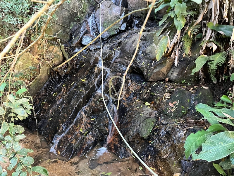 Terreno de 24 hec á Venda em Bom Jesus, Armazém-SC: 10ª foto da galeria de imagens do imóvel