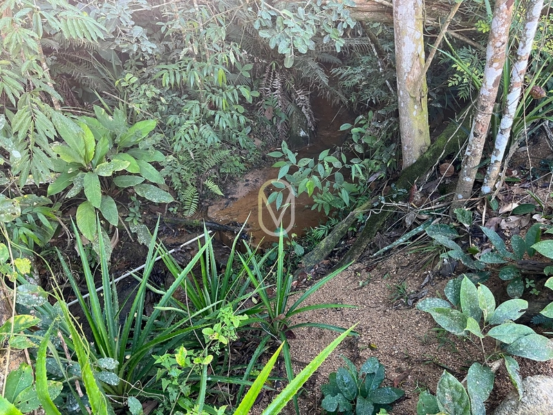 Terreno de 24 hec á Venda em Bom Jesus, Armazém-SC: 19ª foto da galeria de imagens do imóvel