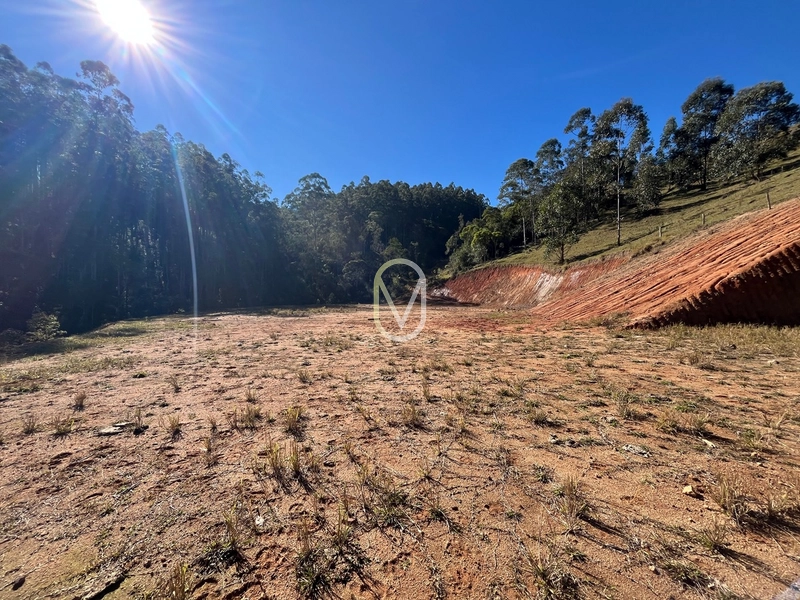 Terreno de 24 hec á Venda em Bom Jesus, Armazém-SC: 31ª foto da galeria de imagens do imóvel