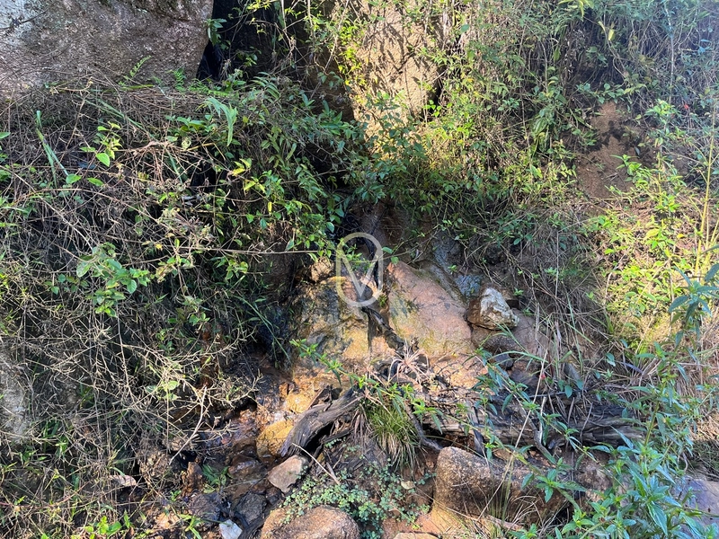 Terreno de 24 hec á Venda em Bom Jesus, Armazém-SC: 36ª foto da galeria de imagens do imóvel