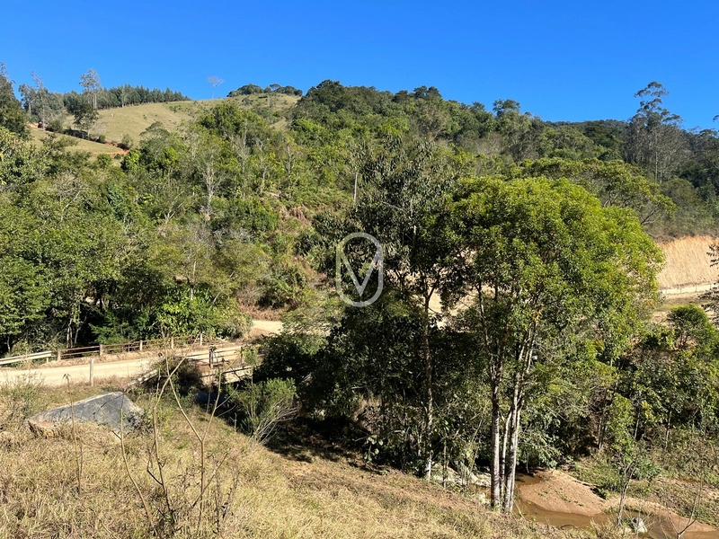 Terreno de 24 hec á Venda em Bom Jesus, Armazém-SC: 44ª foto da galeria de imagens do imóvel