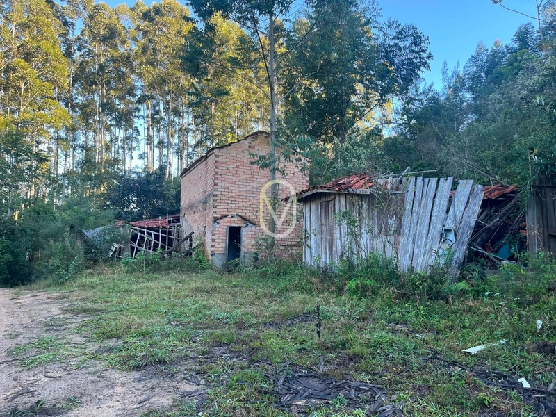 Terreno de 4.8 hec á Venda bairro Bom Jesus em Armazém-SC: 15ª foto da galeria de imagens do imóvel