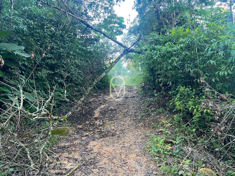 Terreno de 4.8 hec á Venda bairro Bom Jesus em Armazém-SC: 9ª foto da galeria de imagens do imóvel