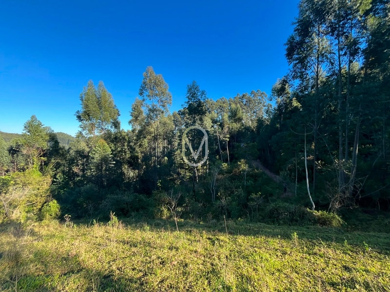 Terreno de 4.8 hec á Venda bairro Bom Jesus em Armazém-SC: 29ª foto da galeria de imagens do imóvel