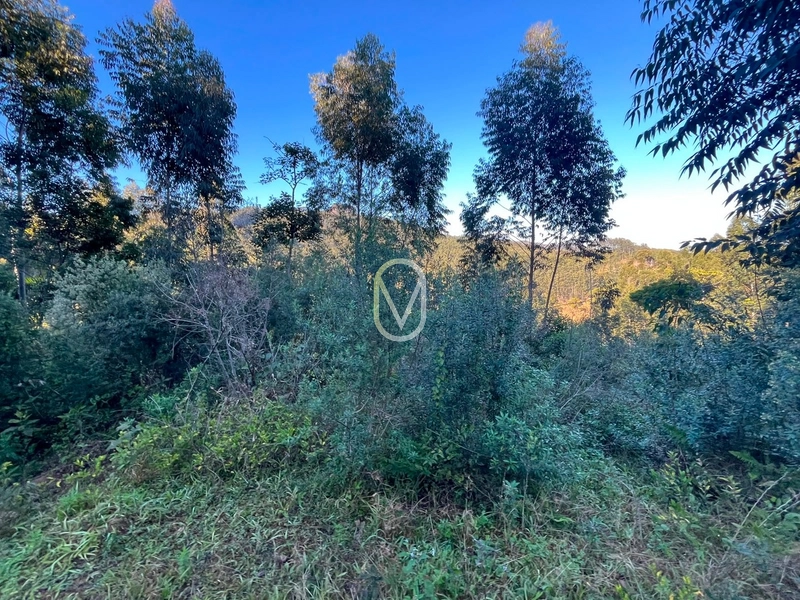 Terreno de 4.8 hec á Venda bairro Bom Jesus em Armazém-SC: 16ª foto da galeria de imagens do imóvel