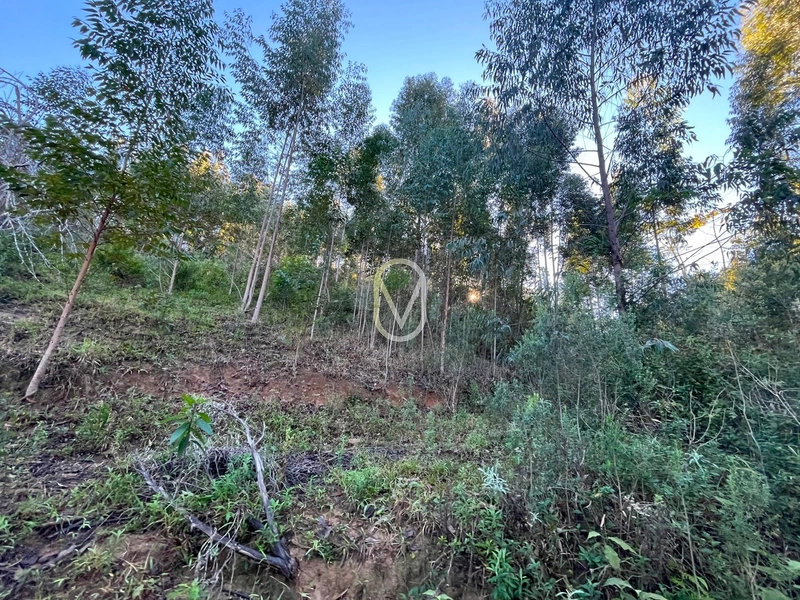 Terreno de 4.8 hec á Venda bairro Bom Jesus em Armazém-SC: 6ª foto da galeria de imagens do imóvel