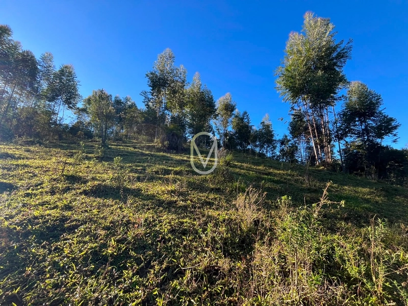 Terreno de 4.8 hec á Venda bairro Bom Jesus em Armazém-SC: 23ª foto da galeria de imagens do imóvel