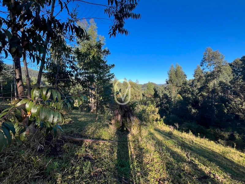 Terreno de 4.8 hec á Venda bairro Bom Jesus em Armazém-SC: 26ª foto da galeria de imagens do imóvel