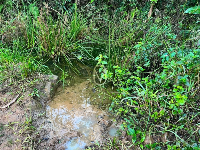 Terreno de 4.8 hec á Venda bairro Bom Jesus em Armazém-SC: 32ª foto da galeria de imagens do imóvel
