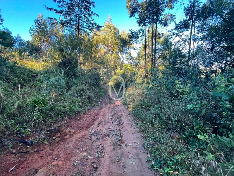Terreno de 4.8 hec á Venda bairro Bom Jesus em Armazém-SC: 17ª foto da galeria de imagens do imóvel