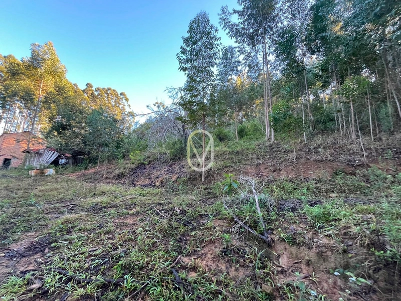 Terreno de 4.8 hec á Venda bairro Bom Jesus em Armazém-SC: 33ª foto da galeria de imagens do imóvel
