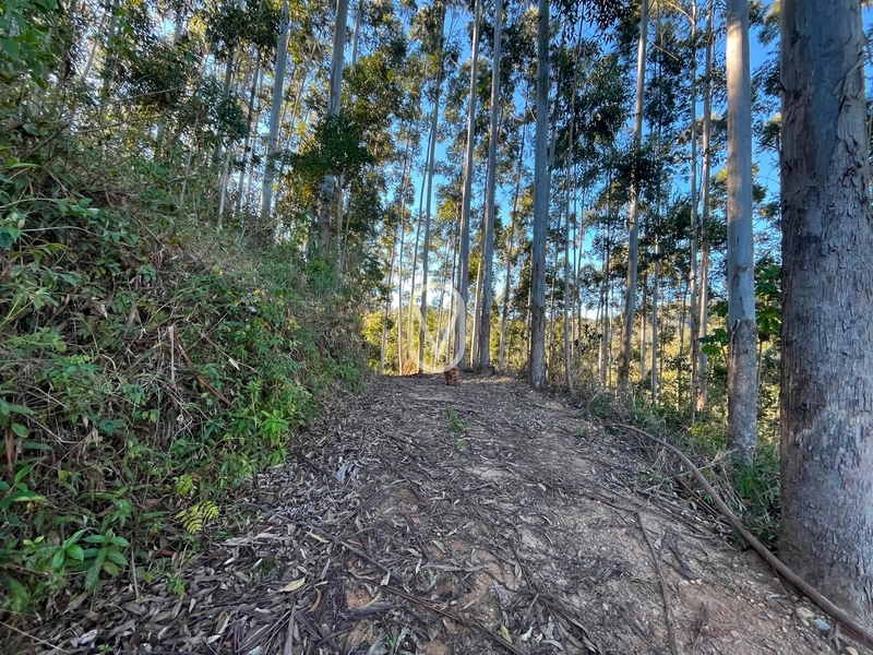 Terreno de 4.8 hec á Venda bairro Bom Jesus em Armazém-SC: 3ª foto da galeria de imagens do imóvel