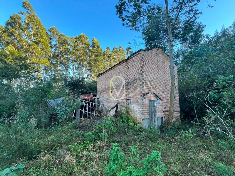 Terreno de 4.8 hec á Venda bairro Bom Jesus em Armazém-SC: 13ª foto da galeria de imagens do imóvel