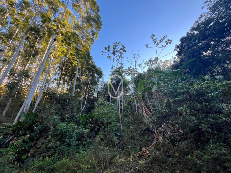 Terreno de 4.8 hec á Venda bairro Bom Jesus em Armazém-SC: 11ª foto da galeria de imagens do imóvel