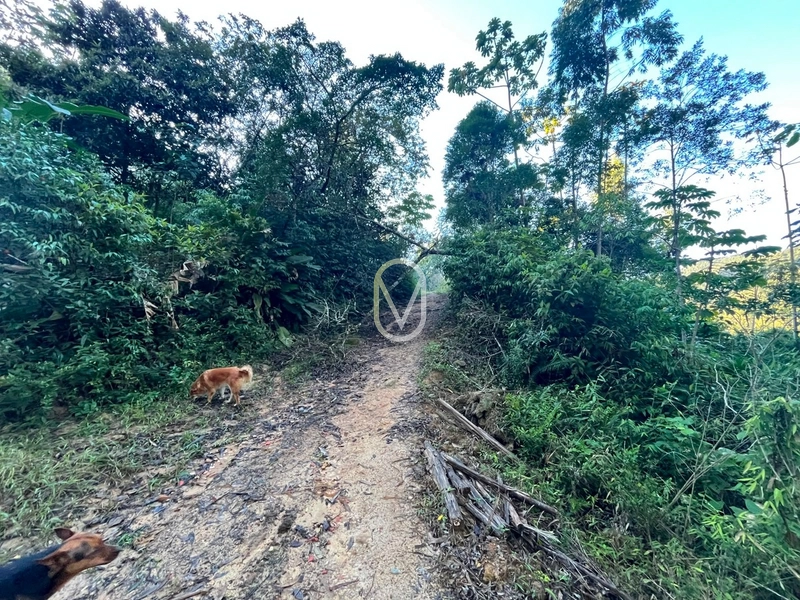 Terreno de 4.8 hec á Venda bairro Bom Jesus em Armazém-SC: 8ª foto da galeria de imagens do imóvel